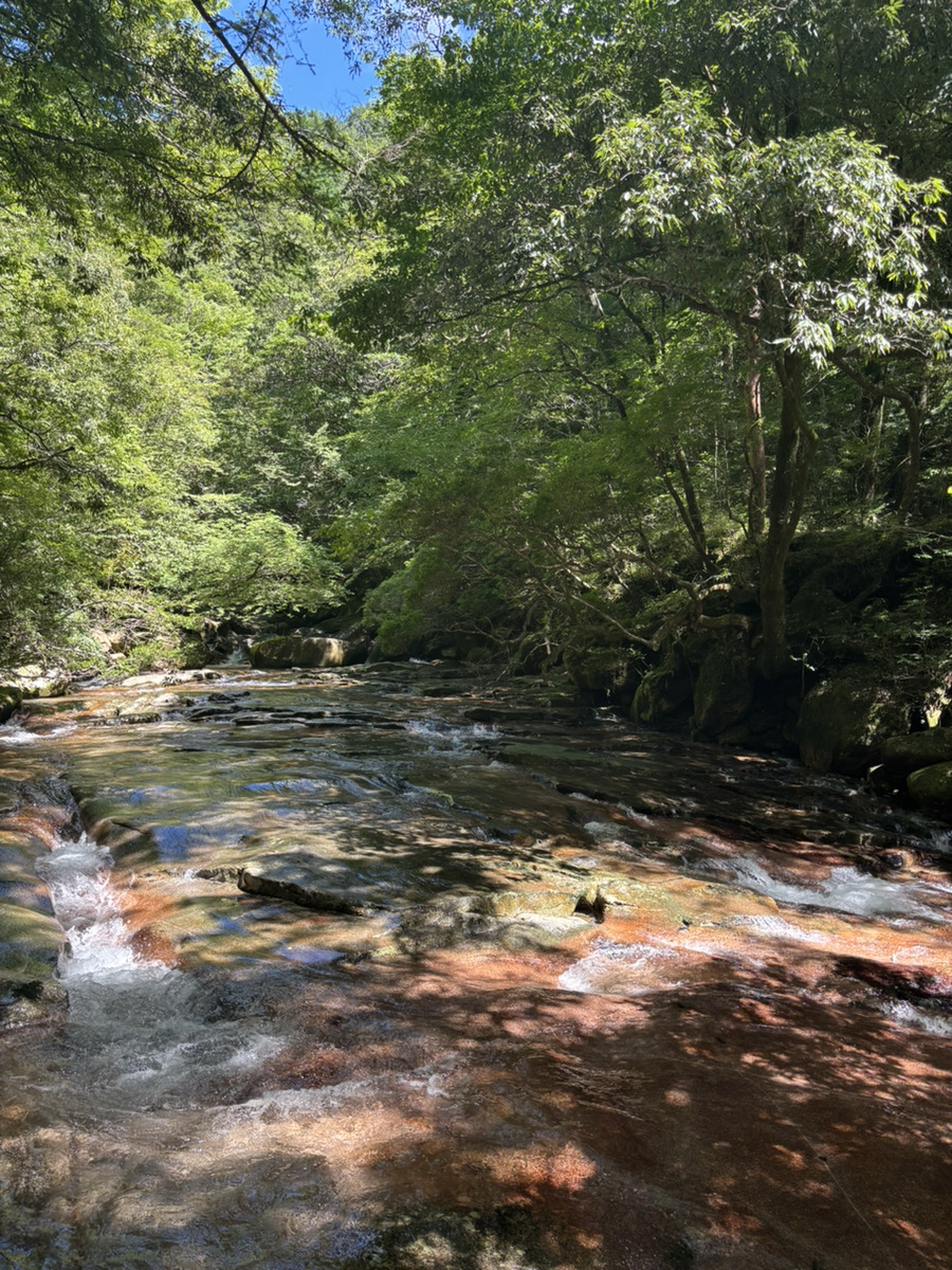 SAKAIの良いところご紹介します♪｜大分市の工務店 SAKAI採用情報ブログ
