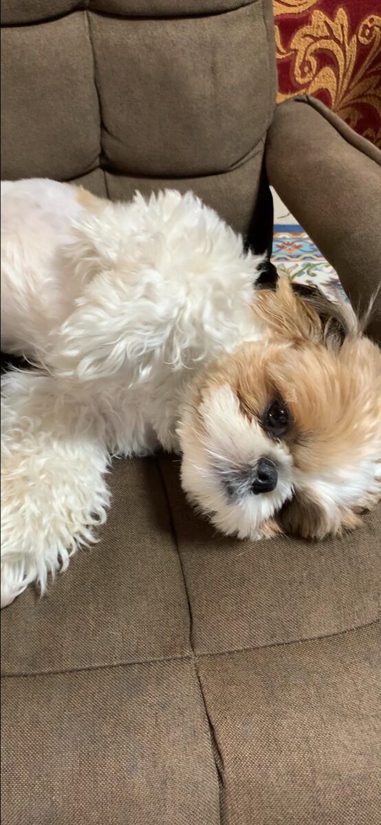 SAKAI住宅博に参加しての感想｜大分市の工務店 SAKAI採用情報ブログ